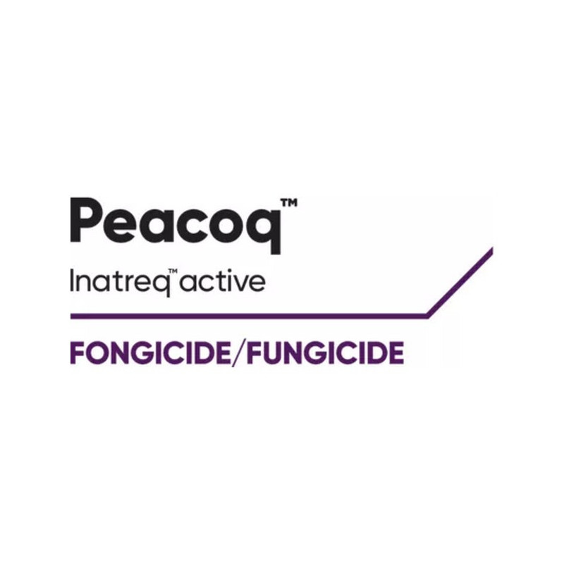 PEACOQ PEACOQ