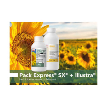 PACK EXPRESS ILLUSTRA