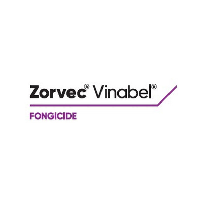 ZORVEC VINABEL ZORVEC VINABEL