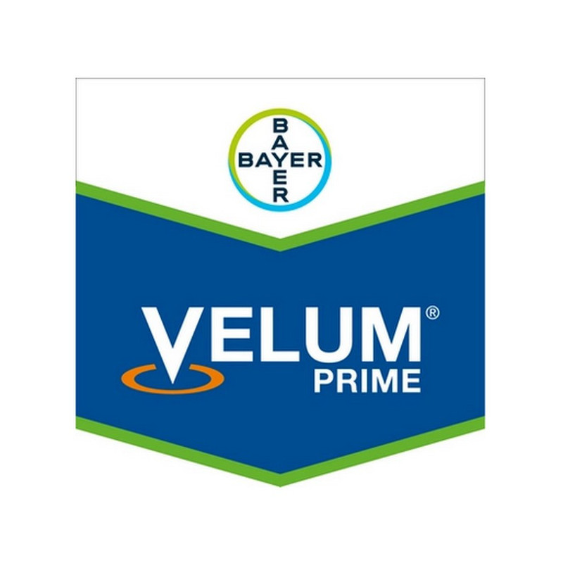 VELUM PRIME VELUM PRIME