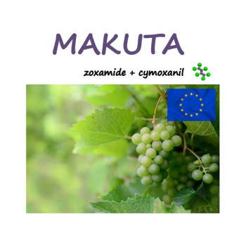 MAKUTA