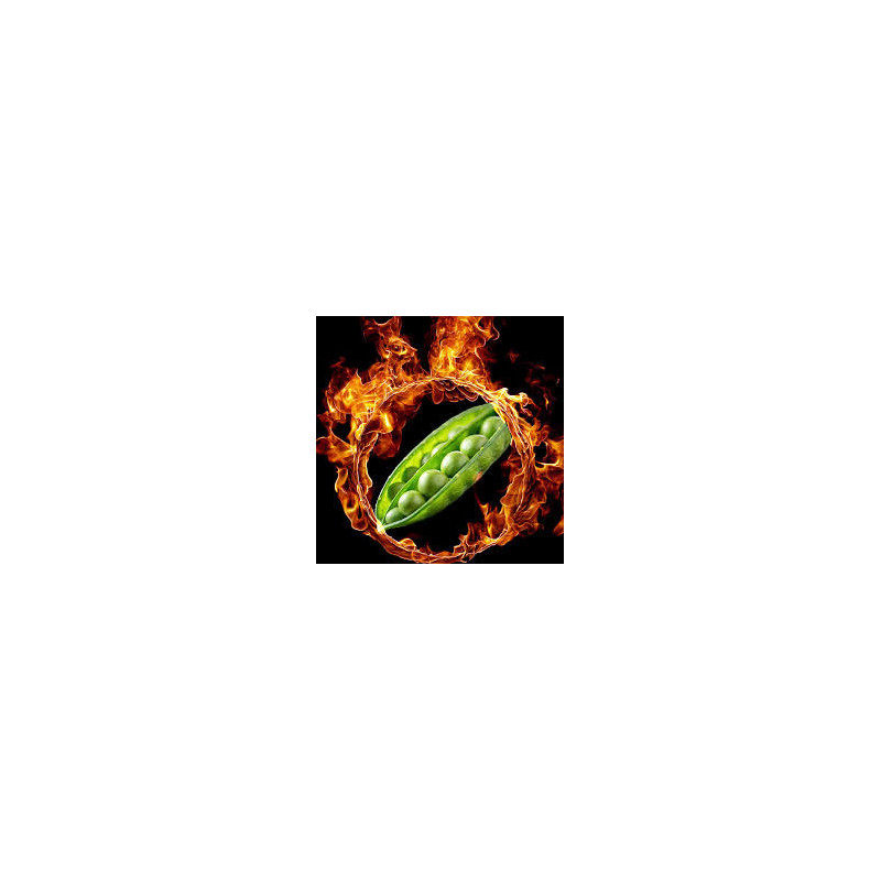 Pois print. KWS FLAM (BIO) Pois print. KWS FLAM (BIO)