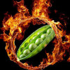 Pois print. KWS FLAM (BIO)