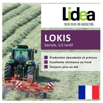 Dactyle LOKIS Bio