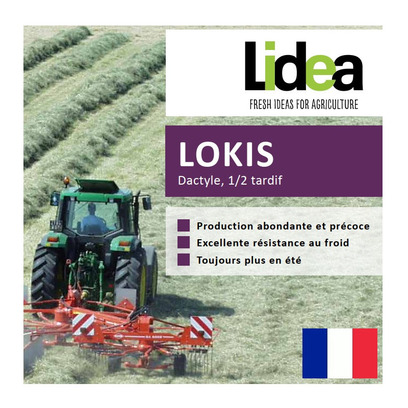 Dactyle LOKIS Bio