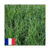 Dactyle LOKIS Bio
