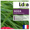 Fétuque élevée ROZA