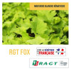 Moutarde blanche tardive anti nématode RGT FOX