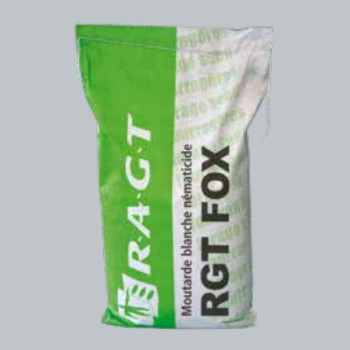 Moutarde blanche tardive anti nématode RGT FOX