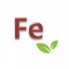 PLANTIN FER 648