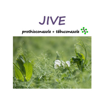 JIVE