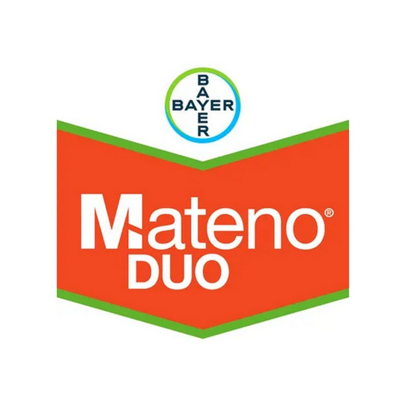 MATENO DUO MATENO DUO