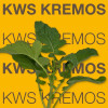 Colza KWS KREMOS