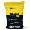 Colza MELI MIX DUO