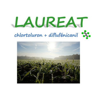 LAUREAT
