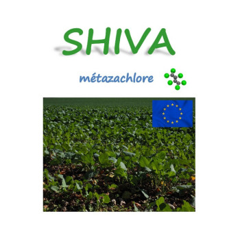 SHIVA
