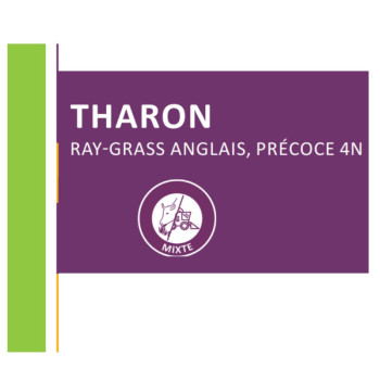 RGA 4N précoce THARON, Ray-grass Anglais