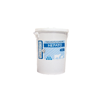 HEPATO