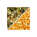 23219-Traité Force 20 CS + Korit - Dose 50 000 gr