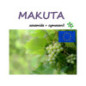 MAKUTA