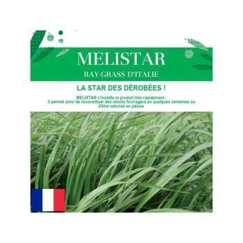 RGI 2N non-alternatif ITAKA, Ray-grass d'Italie