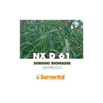Sorgho Méthanisation - NXD 61