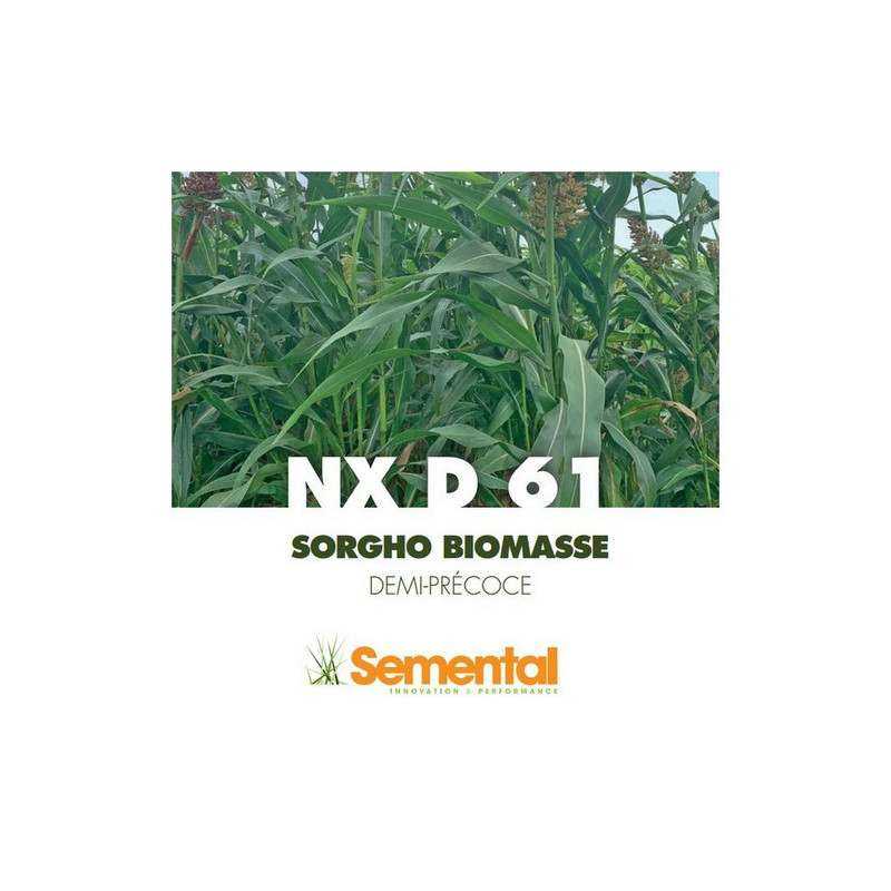 Sorgho Méthanisation - NXD 61