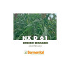 Sorgho Méthanisation - NXD 61