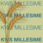 Blé KWS MILLESIME