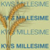 Blé KWS MILLESIME