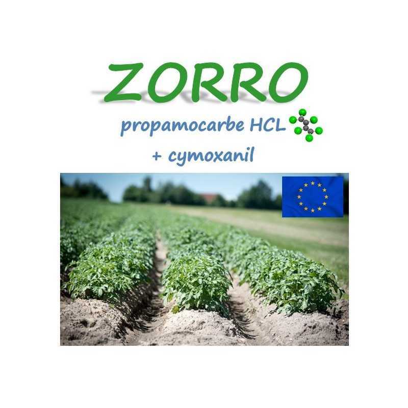 ZORRO ZORRO