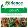 Trèfle incarnat CEGALO