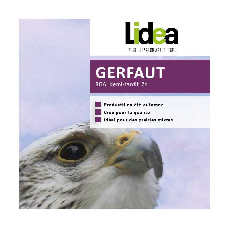 RGA 2N 1/2 Tardif GERFAUT Bio, Ray-grass Anglais