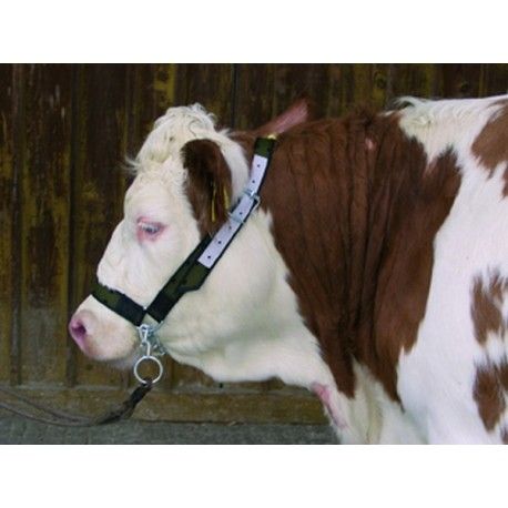 LICOL POUR VACHES RENFORCE CUIR