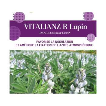 Inoculum Lupin VITALIANZ R