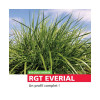 RGH 4N EVERIAL Bio, Ray-grass Hybride Bio