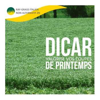 RGI 2N non-alternatif DICAR, Ray-grass d'Italie