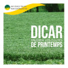 RGI 2N non-alternatif DICAR, Ray-grass d'Italie