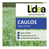 Seigle forestier CAULOS bio