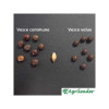 Vesce velue Bio PAULA