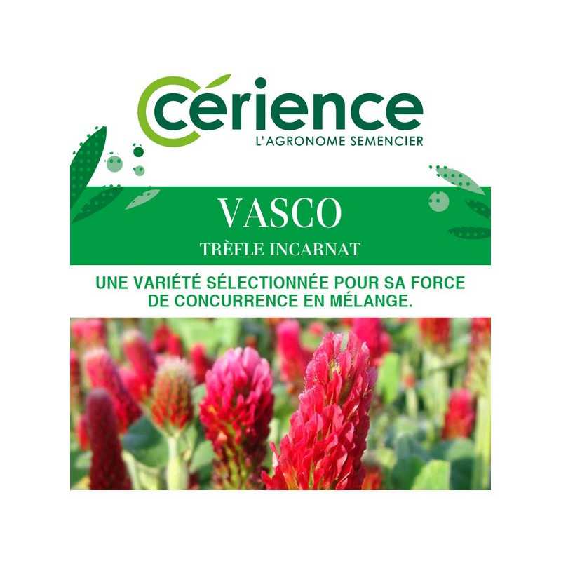 Trèfle incarnat VASCO Trèfle incarnat VASCO