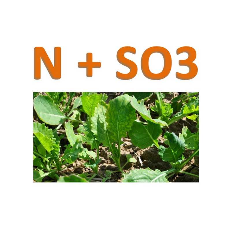 Ammonitrate soufrée 24 N + 18 SO3 Ammonitrate soufrée 24 N + 18 SO3