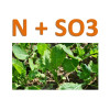 Ammonitrate soufrée 24 N + 18 SO3