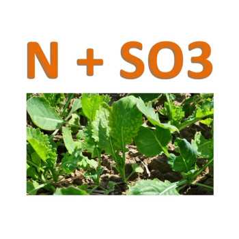 Ammonitrate soufrée 24 N + 18 SO3