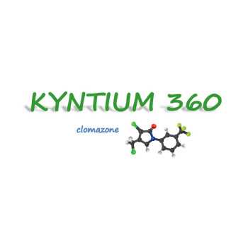 KYNTIUM 360