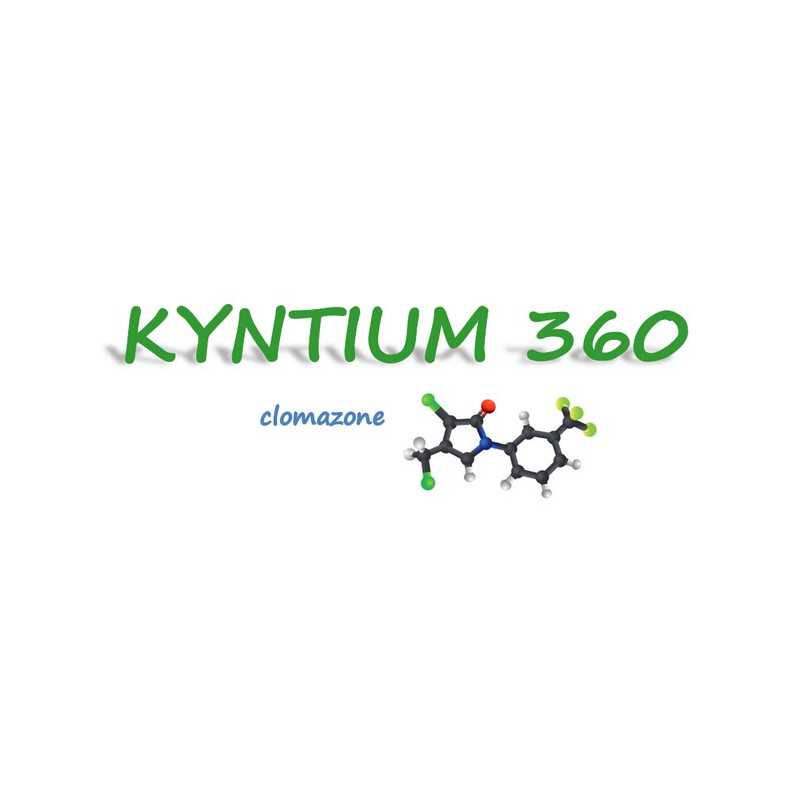 KYNTIUM 360 KYNTIUM 360