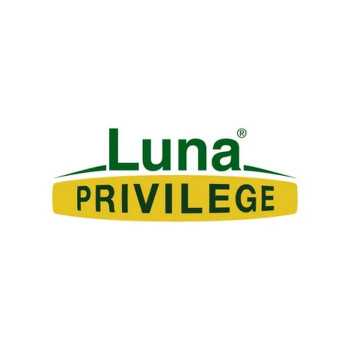 LUNA PRIVILEGE