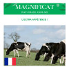 RGA 2N 1/2 tardif MAGNIFICAT, Ray-grass Anglais