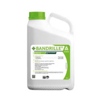 BANDRILLE
