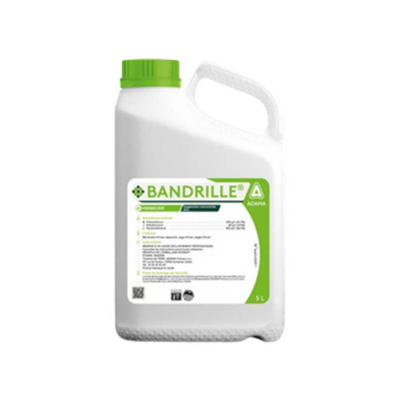 BANDRILLE BANDRILLE